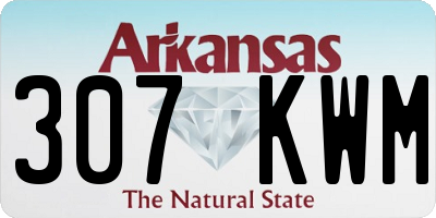 AR license plate 307KWM