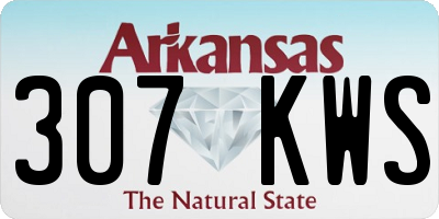 AR license plate 307KWS