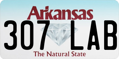 AR license plate 307LAB