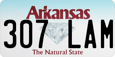 AR license plate 307LAM