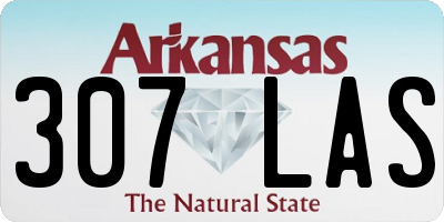 AR license plate 307LAS