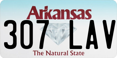 AR license plate 307LAV