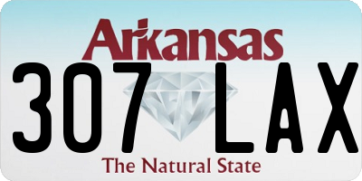 AR license plate 307LAX