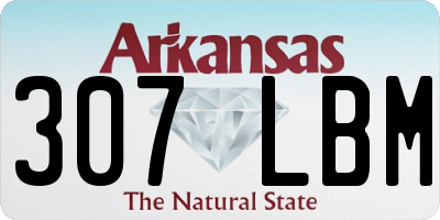 AR license plate 307LBM