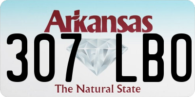 AR license plate 307LBO