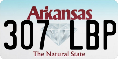 AR license plate 307LBP
