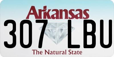 AR license plate 307LBU