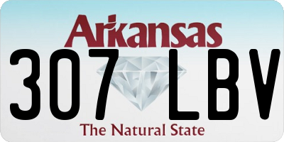 AR license plate 307LBV