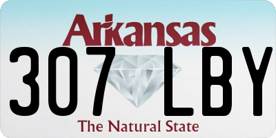 AR license plate 307LBY