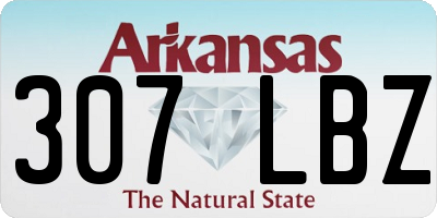 AR license plate 307LBZ