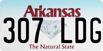 AR license plate 307LDG