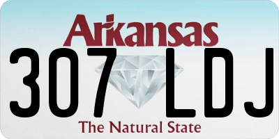 AR license plate 307LDJ