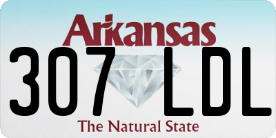 AR license plate 307LDL