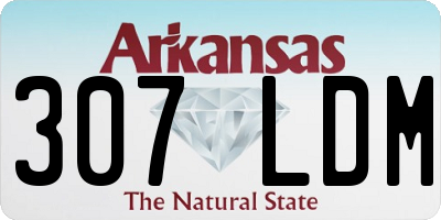 AR license plate 307LDM