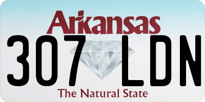 AR license plate 307LDN