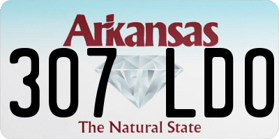 AR license plate 307LDO