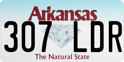 AR license plate 307LDR