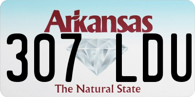 AR license plate 307LDU