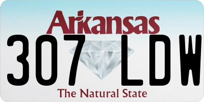 AR license plate 307LDW