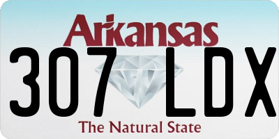 AR license plate 307LDX
