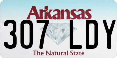 AR license plate 307LDY