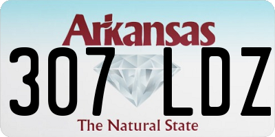AR license plate 307LDZ