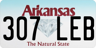 AR license plate 307LEB