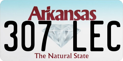 AR license plate 307LEC