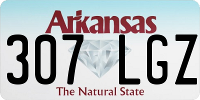 AR license plate 307LGZ