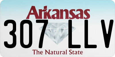AR license plate 307LLV