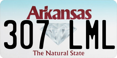 AR license plate 307LML