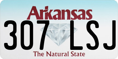 AR license plate 307LSJ