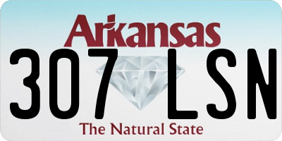 AR license plate 307LSN