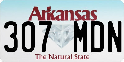 AR license plate 307MDN