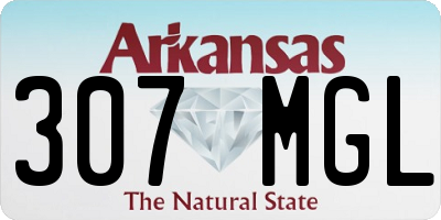 AR license plate 307MGL