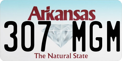 AR license plate 307MGM