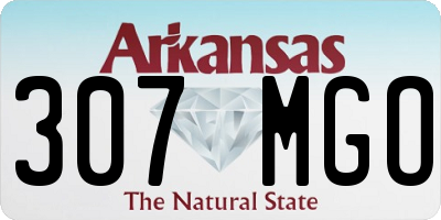 AR license plate 307MGO
