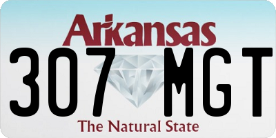 AR license plate 307MGT
