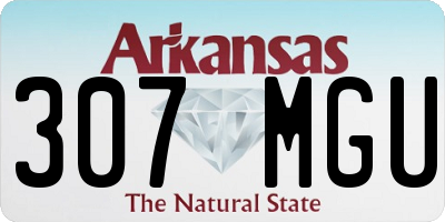 AR license plate 307MGU