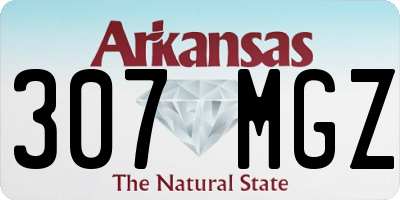 AR license plate 307MGZ