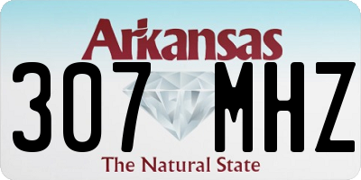 AR license plate 307MHZ