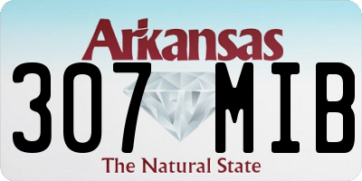 AR license plate 307MIB