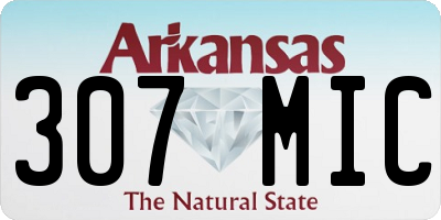 AR license plate 307MIC