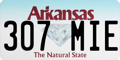 AR license plate 307MIE