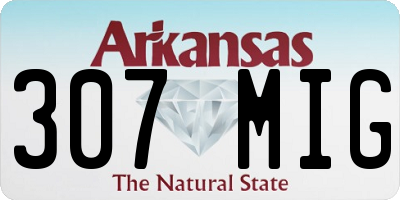 AR license plate 307MIG