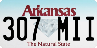 AR license plate 307MII