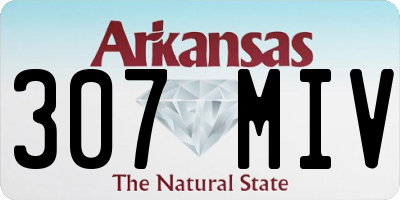 AR license plate 307MIV