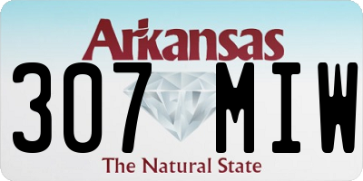 AR license plate 307MIW
