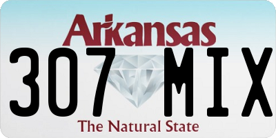 AR license plate 307MIX