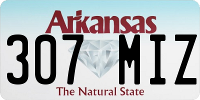 AR license plate 307MIZ